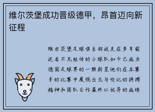 维尔茨堡成功晋级德甲，昂首迈向新征程